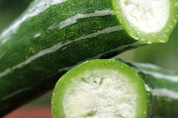 Close up of Snake gourd