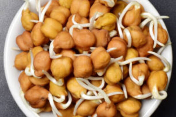 Sprouted chickpeas in white bowl over black table, diet food