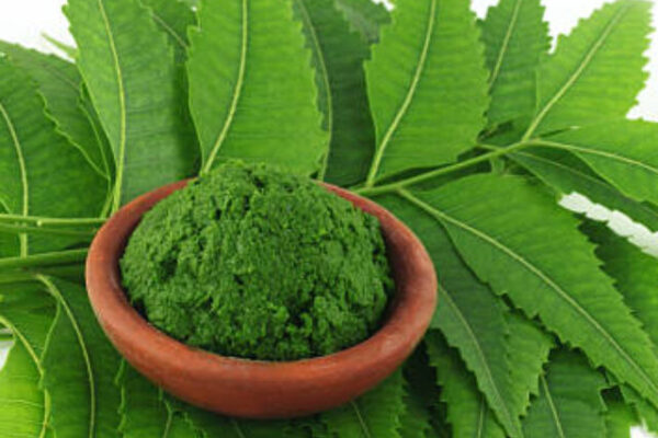 Medicinal neem leaves with paste on a brown bowl