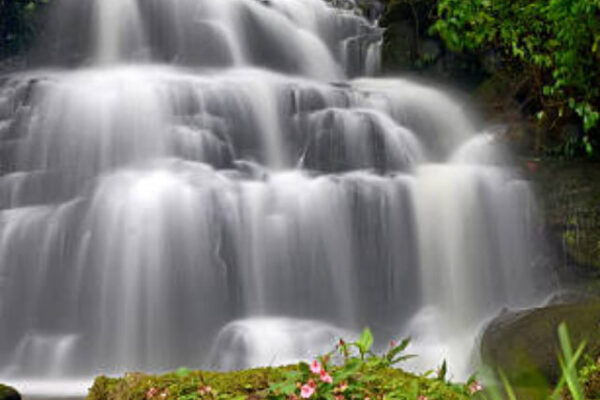 "man dang" water fall in national park of thailand