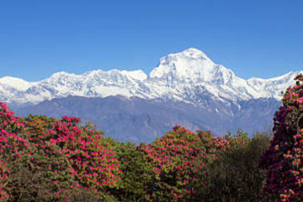 annapurna range