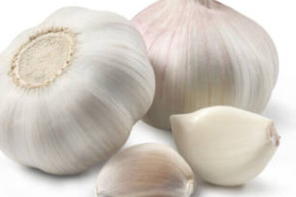 Two heads of garlic with cloves of garlic placed on a white background.